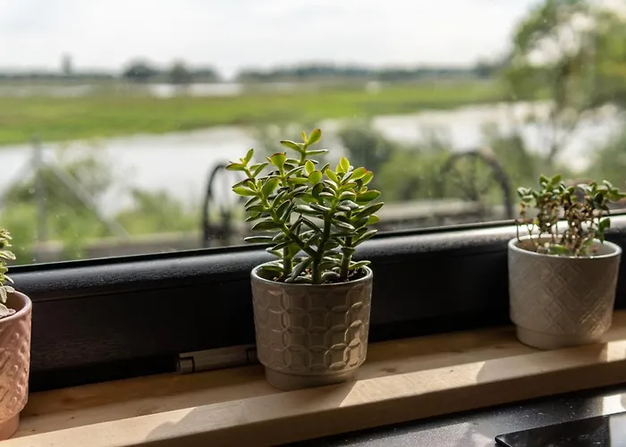 Holiday home With A View#sauna#jaccuzi