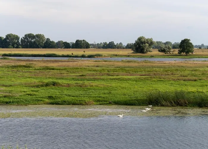 Holiday home With A View#sauna#jaccuzi Gozdowice